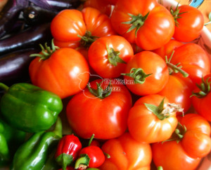 TomatoesfromGardenWatermark-300x243